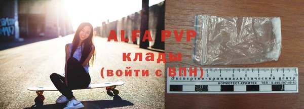 сатива Аркадак